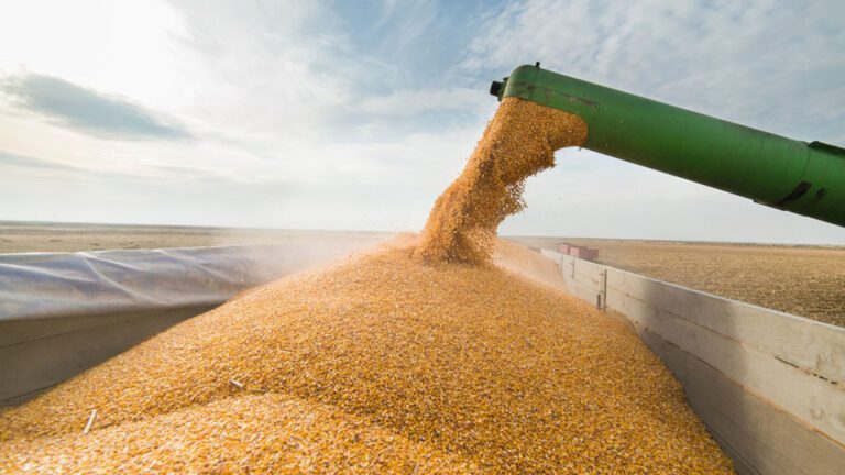 Se comenzaron a efectivizar los pagos de las compensaciones a pequeños productores de soja y maíz