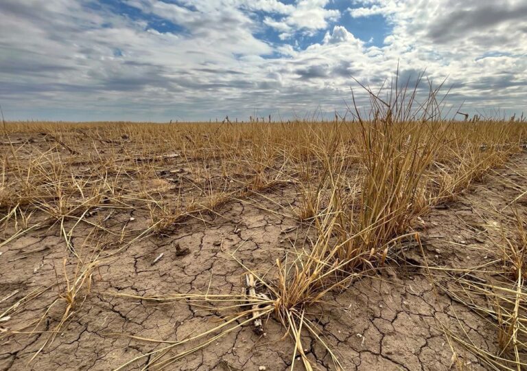 «Dispersas e insuficientes»: las lluvias cortaron la tendencia de la sequía, pero aún se necesitan más
