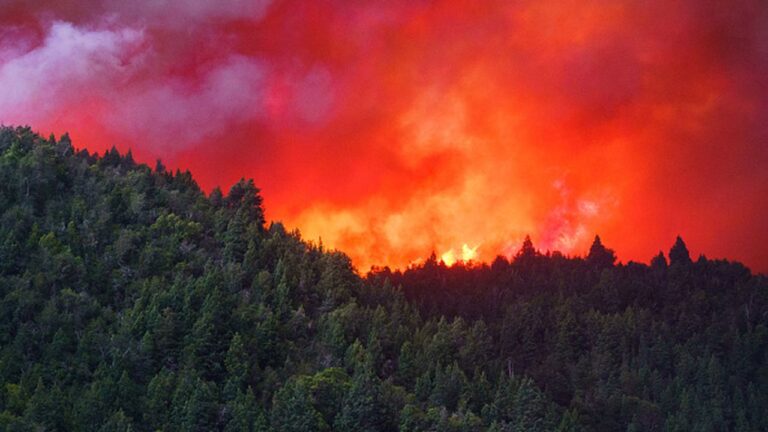 Se postergó por un año la emergencia por incendios forestales