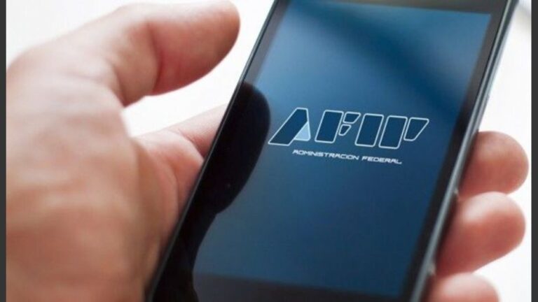 La AFIP estableció un nuevo régimen para facilitar el pago de deudas impositivas y de seguridad social