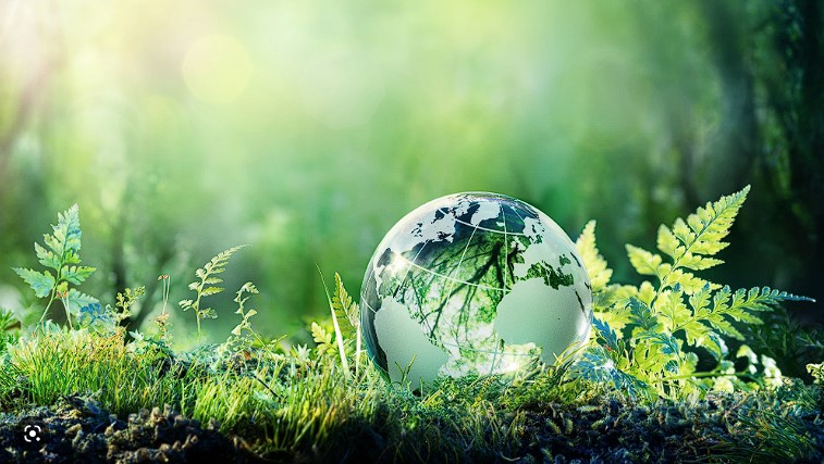 Financiación sostenible: BBVA apuesta a impactar positivamente en el medioambiente