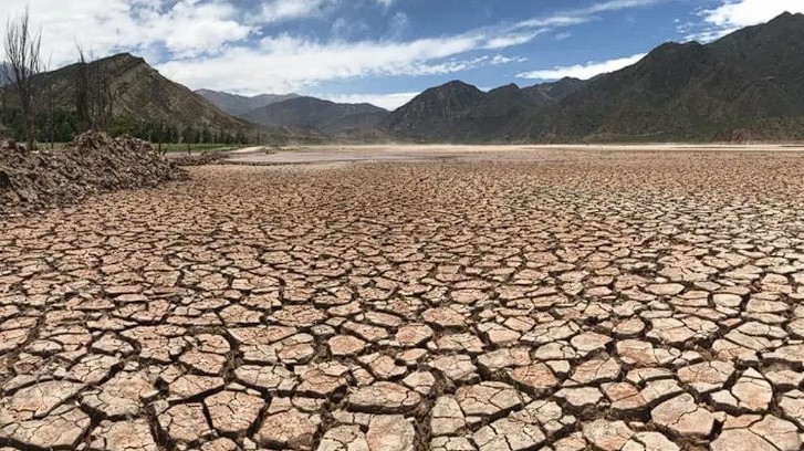 Declaran la emergencia agropecuaria en Mendoza por la sequía