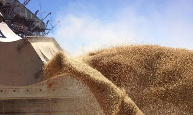 Continúa empeorando la situación por la sequía: son 23 millones las toneladas de soja que se perdieron