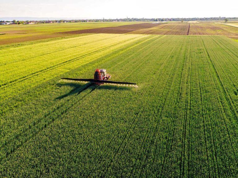 Agrobioindustria: Coninagro propuso desarrollar el sector agropecuario a través de la Bioeconomía