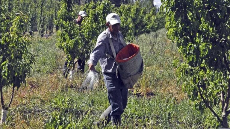 Paritarias: los peones rurales recibirán un aumento salarial del 32% hasta junio de este año