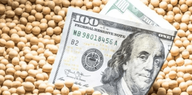 Dólar agro: Agricultura estableció nuevas pautas para facilitar la operación de mercaderías