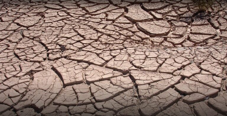 Informe: aseguran que más de 200 mil cero kilómetros no podrán venderse por la sequía