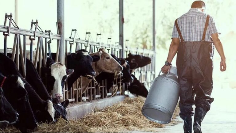 Economía suspendió las retenciones por 90 días para los productos lácteos