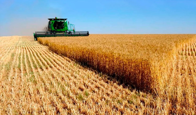 Efecto sequìa: las liquidaciones de la agroexportación cayeron 41% en noviembre