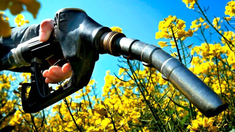 Entidades agropecuarias alertaron sobre el «insólito retroceso» de los biocombustibles