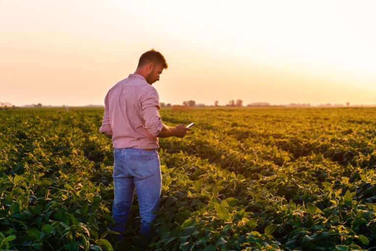 Lanzan una herramienta para que los productores agropecuarios puedan medir su huella de carbono