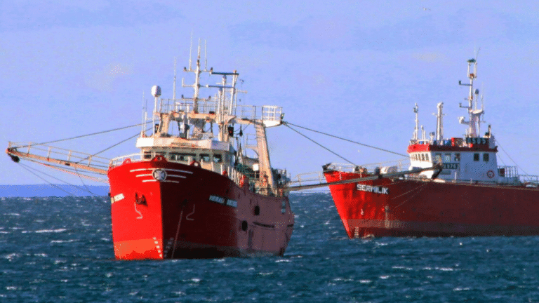 Por amenazas, las empresas pesqueras suspenden salir al mar