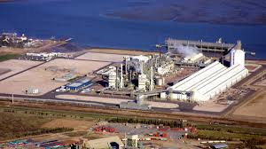 image_2025-12-15_101312996 profertil